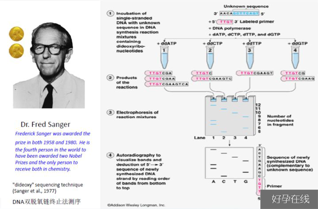 Sanger测序发原理