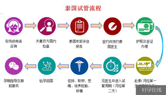 泰国试管婴儿流程图