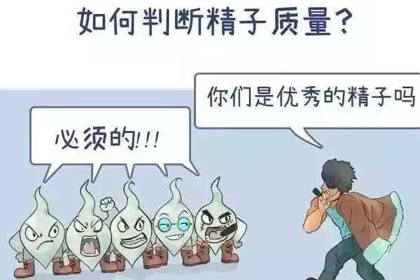 精子不太好能做试管婴儿吗